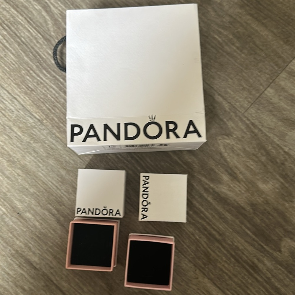 Pandora Packaging - image 3